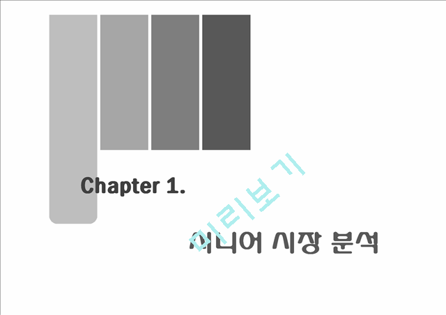 [3000원] 고령화 시대-시니어고객 마케팅전략사례,시니어 시장 분석,국내외 시니어 마케팅 사례,브랜드마케팅,서비스마케팅,글로벌경영,사례분석,swot,stp,4p.pptx